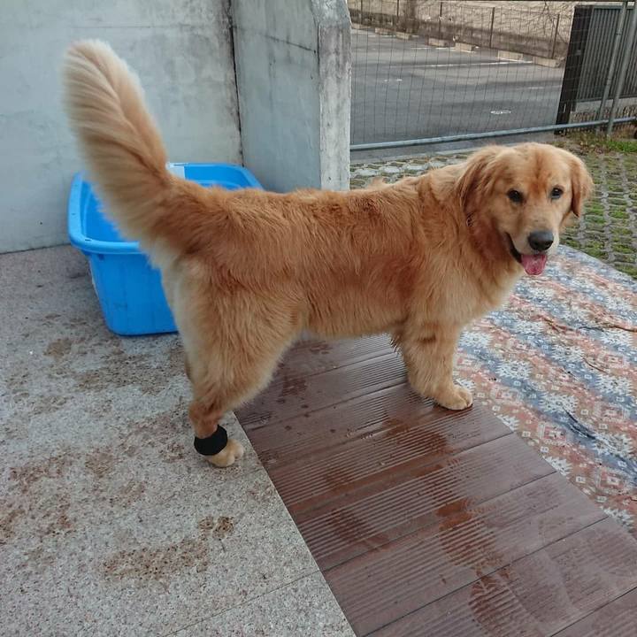 Ddb953bc 06bd 4f4d 936a 6b225faf2be3 1608996406231