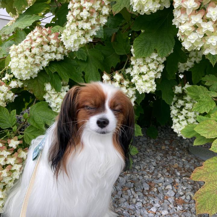 Ddb95f53 52fd 4ac5 8240 d536dbb39ae2 1659252338277