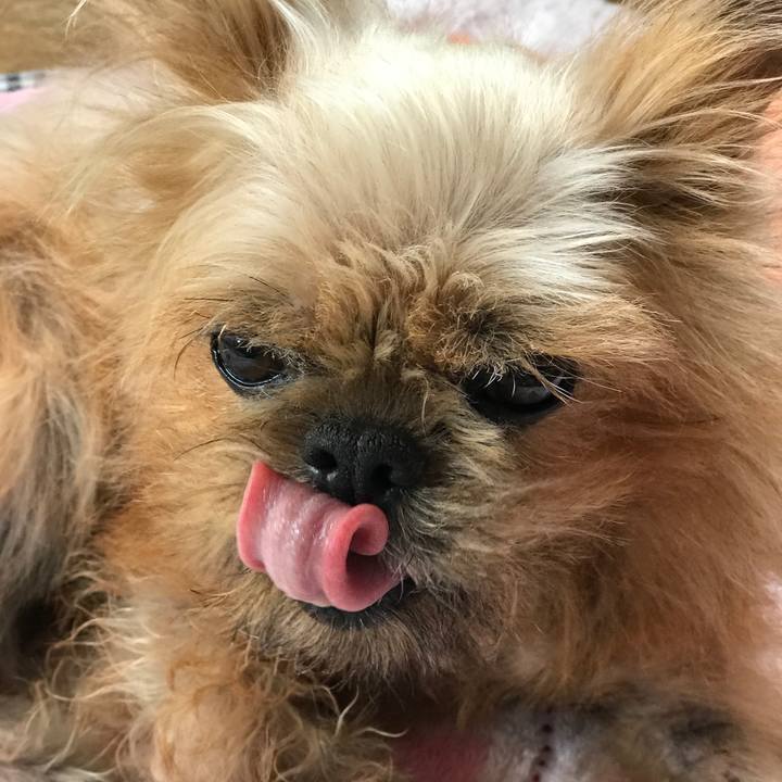 Ddb990b4 8c76 4bb5 8d70 62762682b6dd 1562903714555