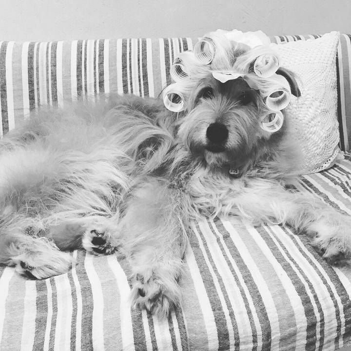 Ddb9ab83 18e2 4d89 afd9 938cb0c11ecd 1563538175983