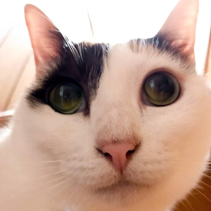 Ddb9cbae a2c5 41ca b9cb 27588b60b01e 1531791849386