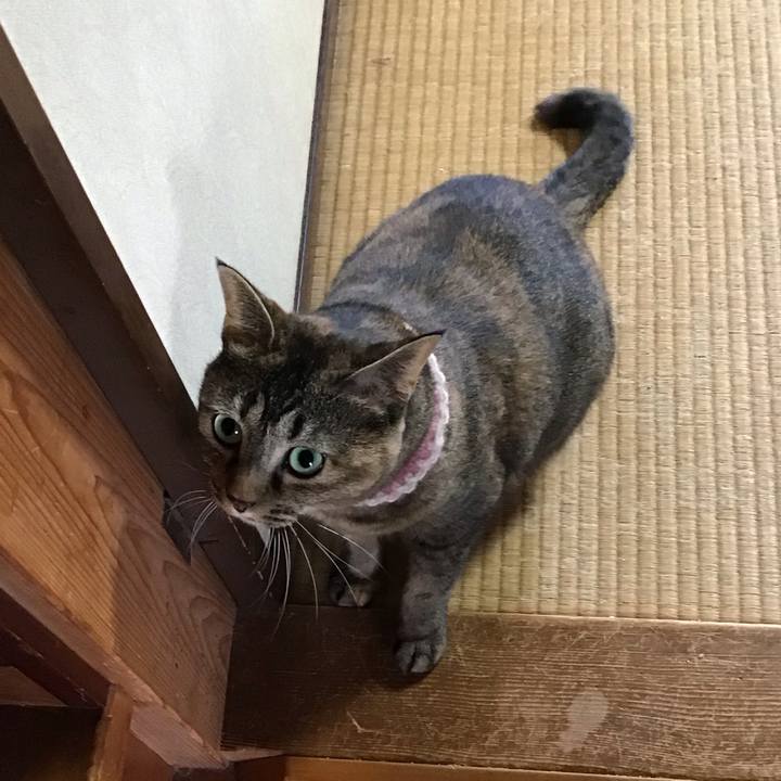 Ddb9fbaf 8138 4928 8f9d f4676813c09a 1695288125446