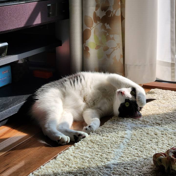 Ddba01c8 dd4f 4ad9 96a5 df626bdc536c 1665925761488