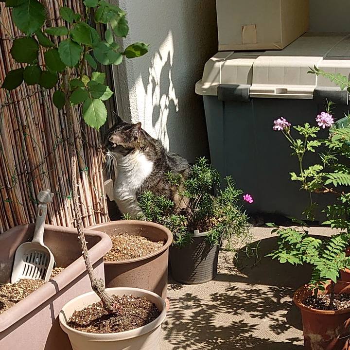 Ddba2bed 7a89 42b6 870a 4e0225095288 1653264381716