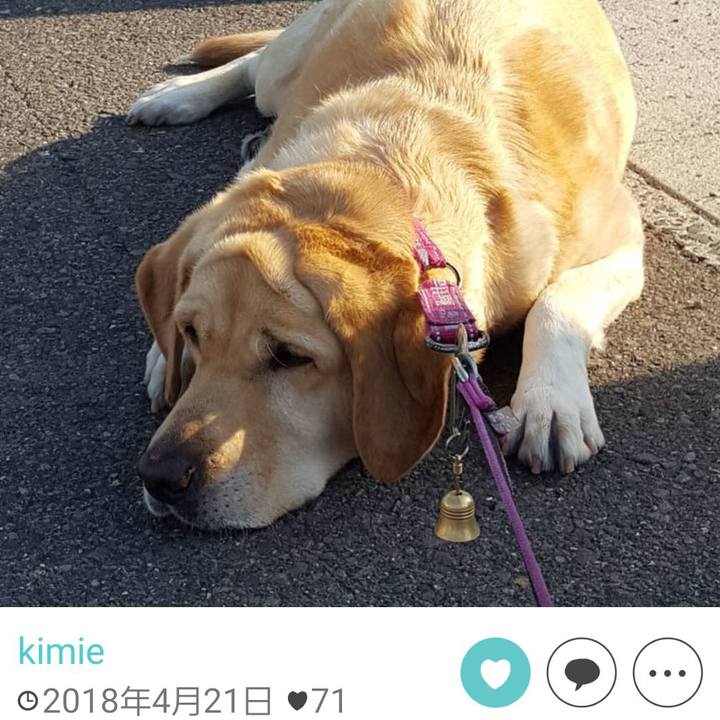 Ddba3dfd 3398 4395 8c07 17b66008cca0 1650931981687