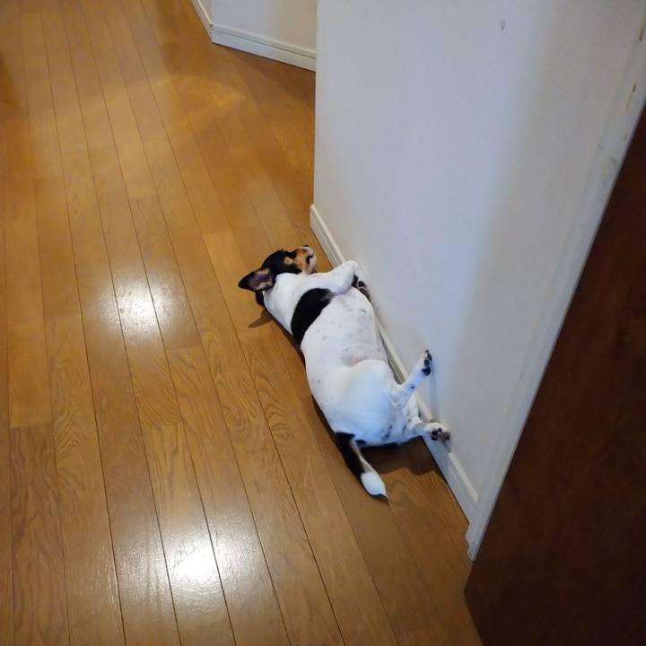 Ddba4f50 dc47 439d 9d8a 0ea04d450c79 1599870367903