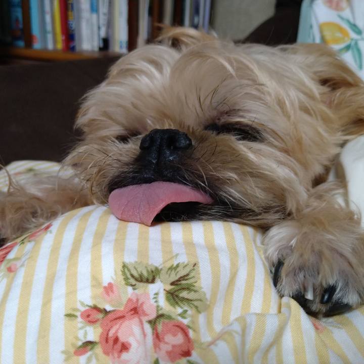 Ddba5363 2988 4154 be52 f5183ea44f31 1601790051748