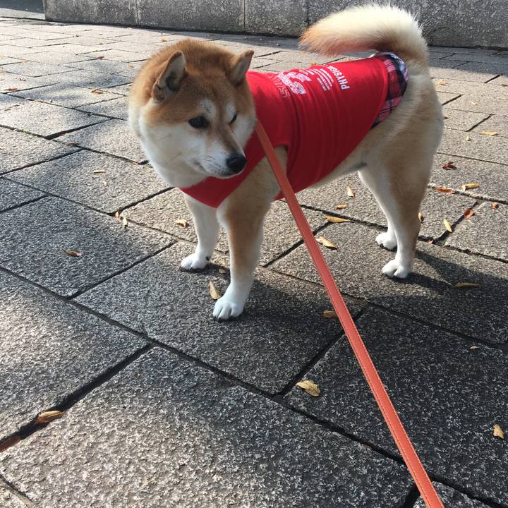 Ddba7598 2f87 401b 8319 7a13fd32b3b3 1573441207545