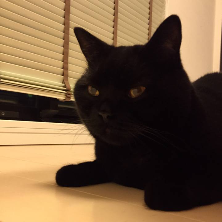 Ddbabefe 6f07 40d5 b326 1c2fca917403 1562588518840