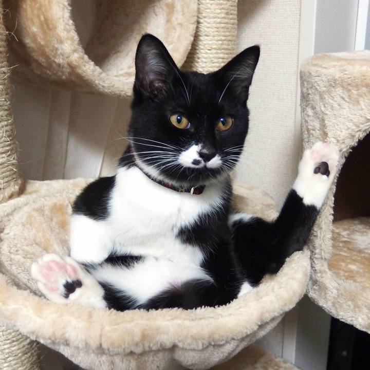 Ddbac394 ac90 4060 b650 d4393639a2ba 1532092180469