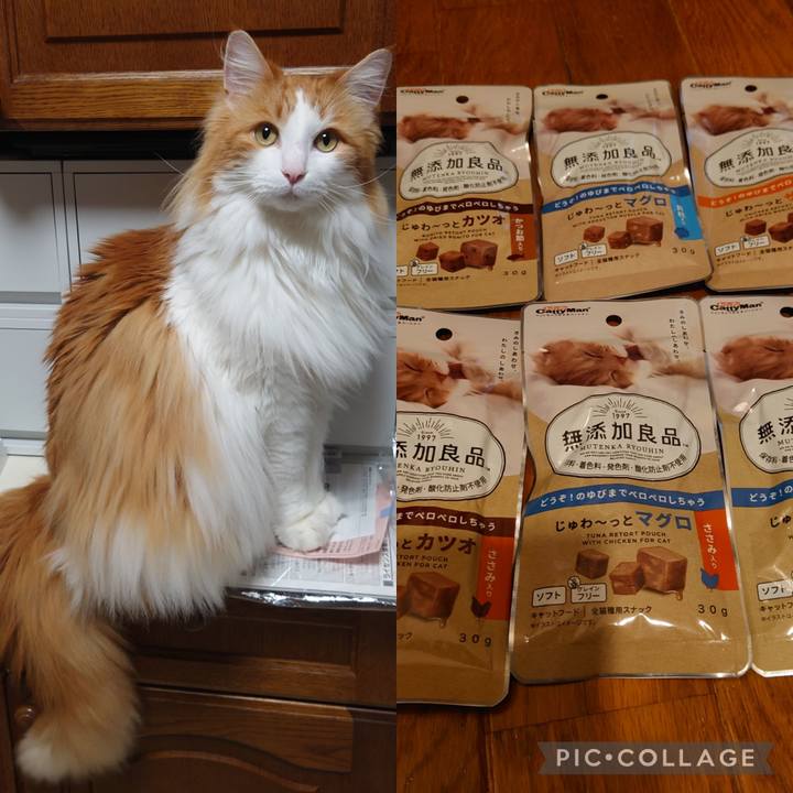 Ddbae9bf 2a18 45a2 a046 7f5f2864459e 1684412129457