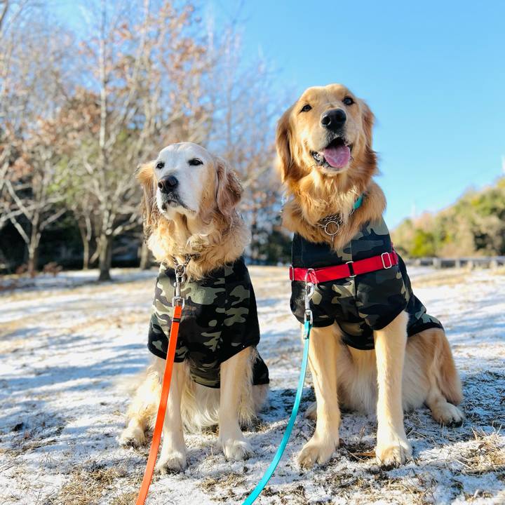 Ddbb501b 8a5f 4f59 b5eb 6c2752edcb8b 1769739139598