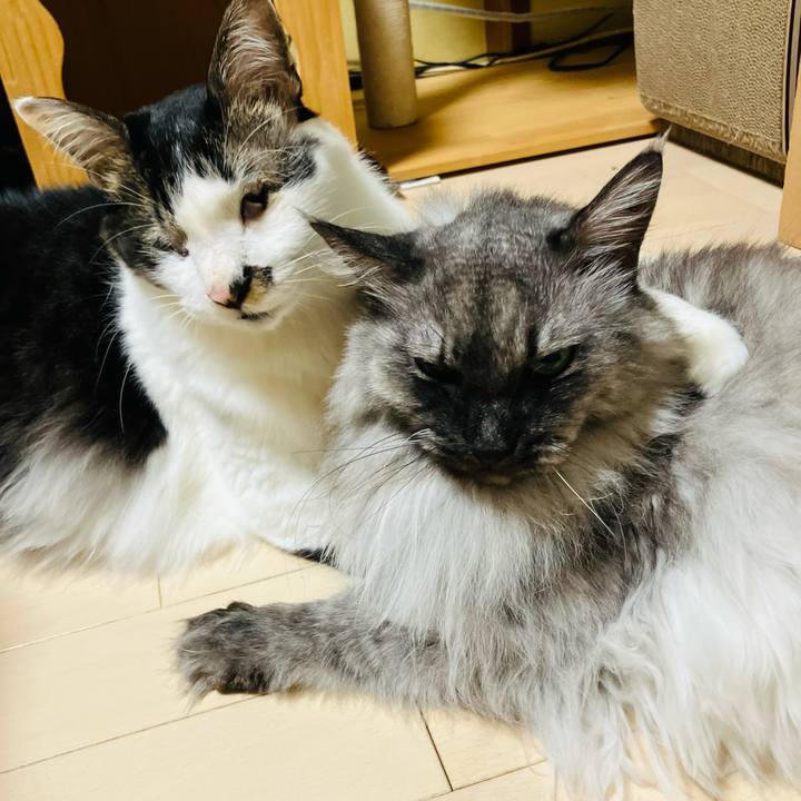 Ddbb7f25 601d 4ad6 a74d 837a3bcc2ef1 1758759307951