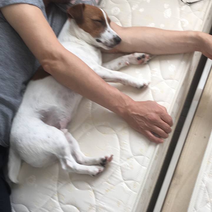 Ddbb9ba1 59c6 48e2 8c3a 3032f762a4fd 1525581410194