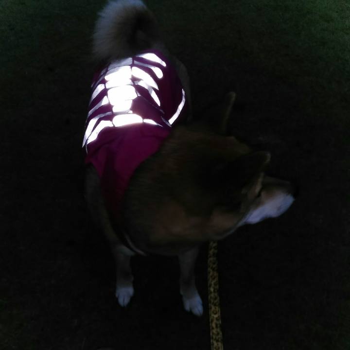 Ddbbb382 d1b7 4be8 a561 2ec9d259beb1 1508057471706