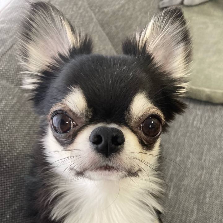 Ddbbc446 6c17 485e a630 1aab54b5fa75 1619650247996