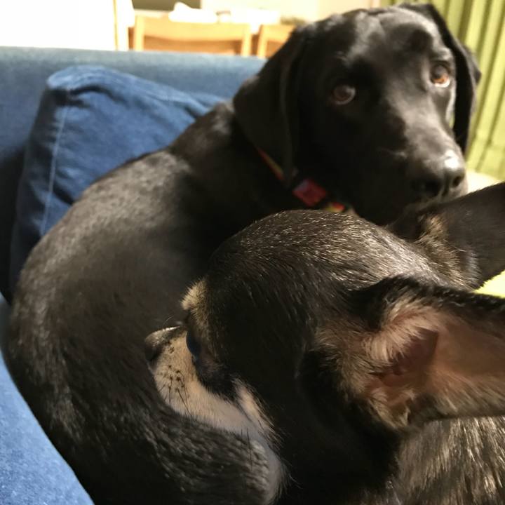 Ddbc121d 96e4 4c7b 9de4 ef07a23f6484 1530099733370