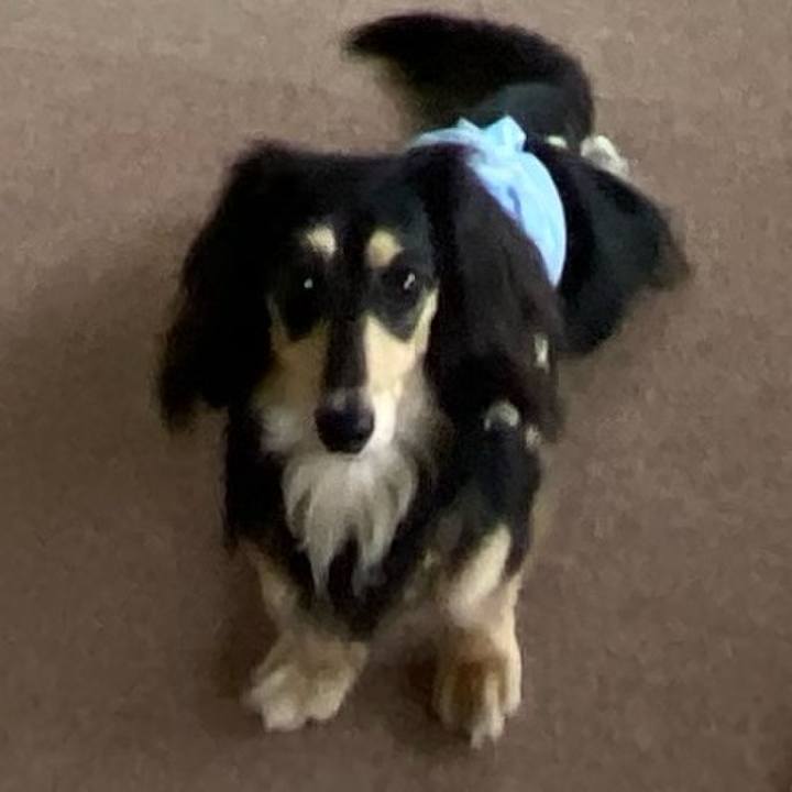 Ddbc555f ac21 48e9 a750 cad97b1b6ca6 1713884811808