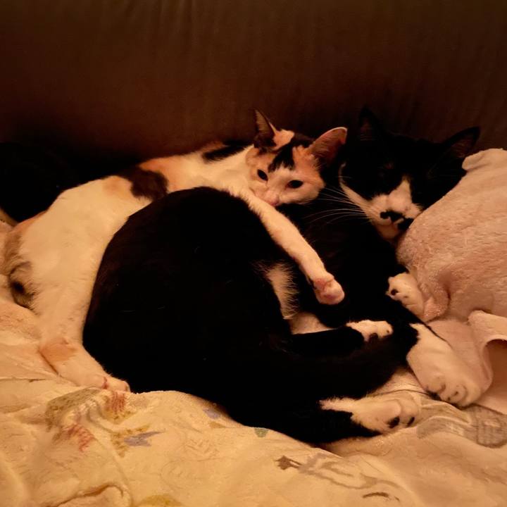 Ddbc68c2 caf6 45e9 b713 9c21c21ed96b 1692423937296