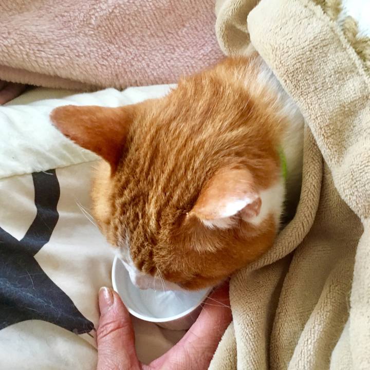 Ddbc9bf2 ac4c 42ae 90f7 754240e138a9 1554170230019