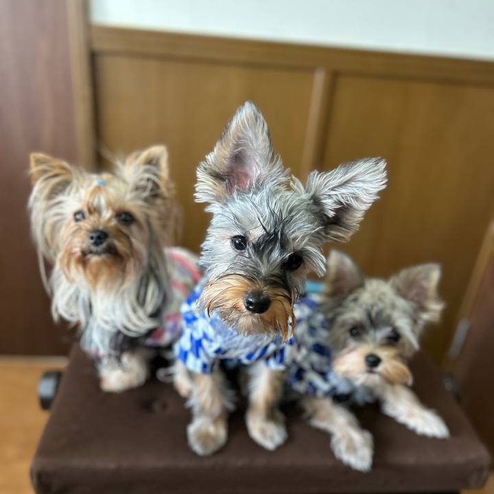 Ddbcd027 122b 4e98 bde8 33e80ca9ca28 1722136765396