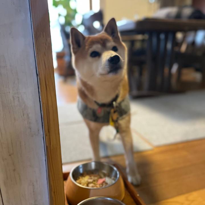 Ddbcd40c fb6f 4ed1 a3a8 0ffc1f24bf35 1614657578037