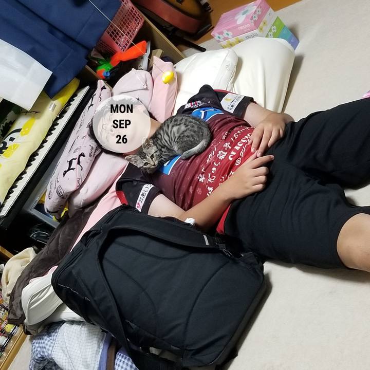 Ddbcfe54 9a38 4337 b282 c7335ddb91b9 1664376463550