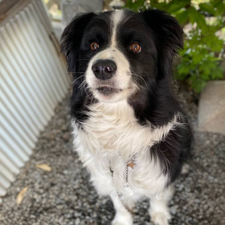 Ddbd070e f028 4c77 b4b2 20afa830f03a 1590277608191