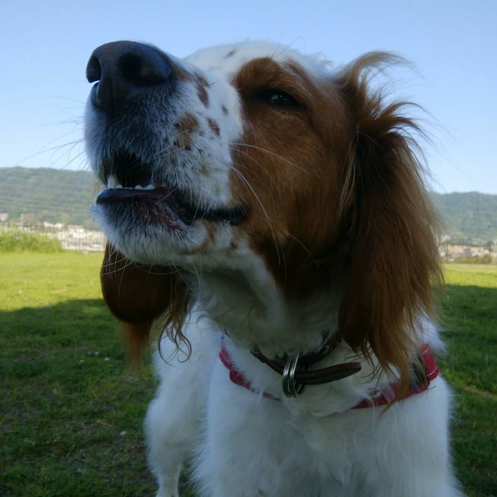 Ddbd1209 c449 451e 82ec 177dc9457d48 1526991008668