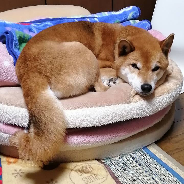 Ddbd1394 820c 4705 bc6f 98bf6f4bd6bc 1584449867395