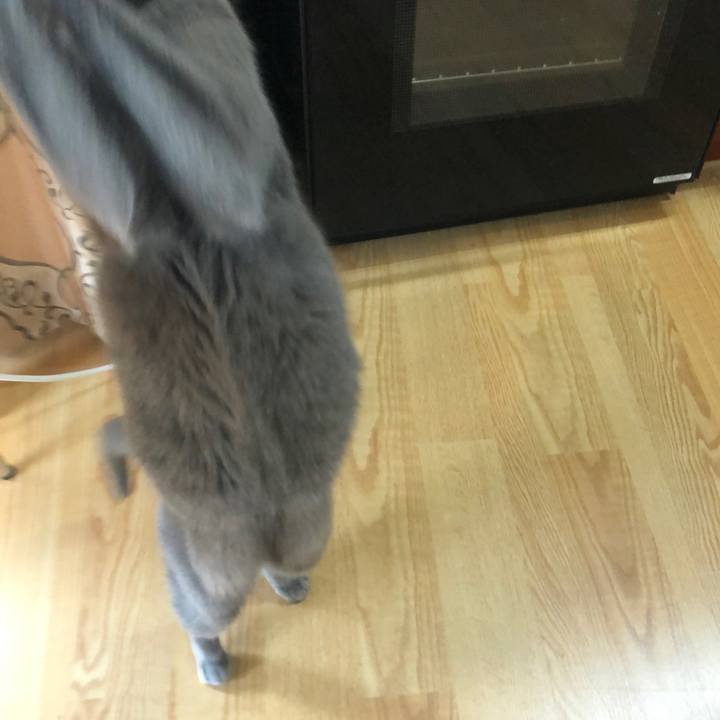 Ddbd1ce0 70e6 49bb 8d24 36fa4c381791 1622331892745