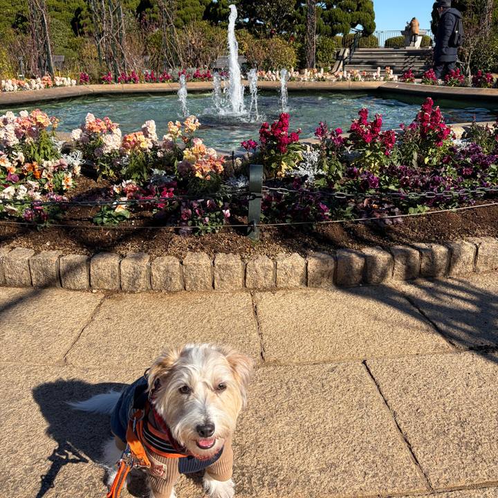 Ddbd35d2 39ac 4091 9ff5 6f3276827746 1767421546971