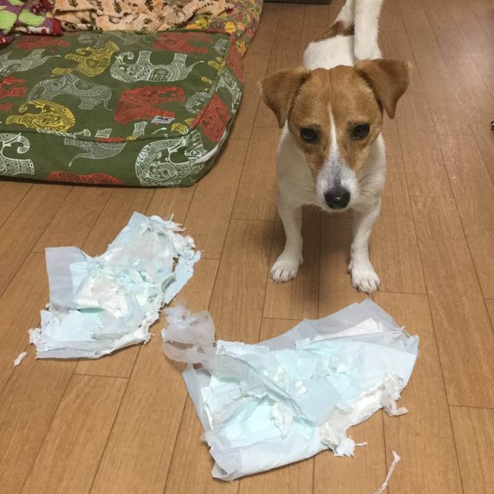 Ddbd44ae 5aab 470b 855c ff91b2e603ca 1531293779710