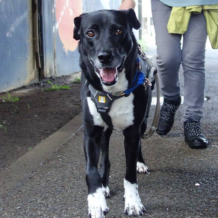 Ddbd60f3 f048 4fd2 8db8 81ecbd5c932f 1650329390696