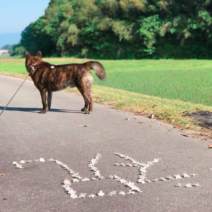 Ddbd8c57 5965 4073 b3ae 1a29503708da 1528331123279