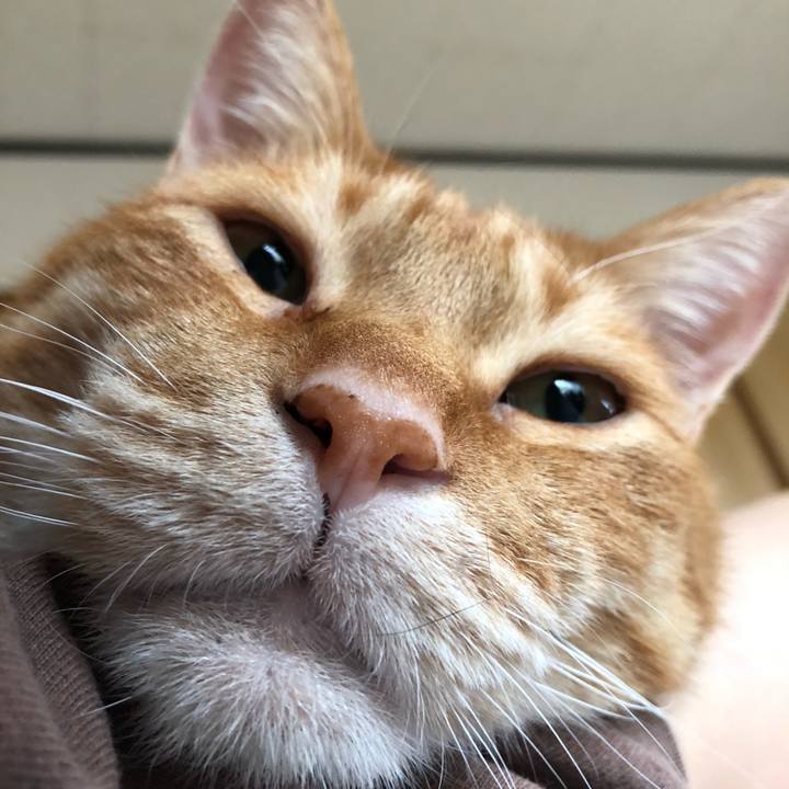 Ddbd9004 00d2 4e66 acf3 41101575c7f2 1614467636516