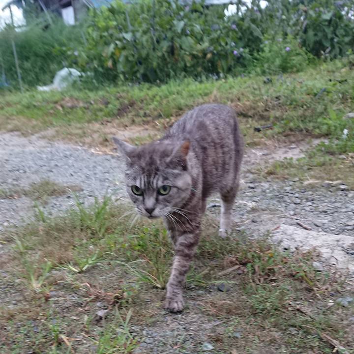 Ddbd9e57 4fc9 4d63 a723 aeec04975a63 1567975957832