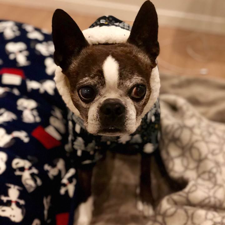 Ddbdce54 20bc 441a b981 792ea7b37c78 1513156101087