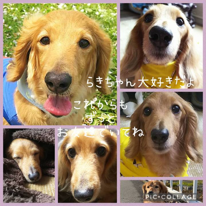 Ddbe0f0e a3e0 41d5 870f 6063a52bdf46 1647156283472