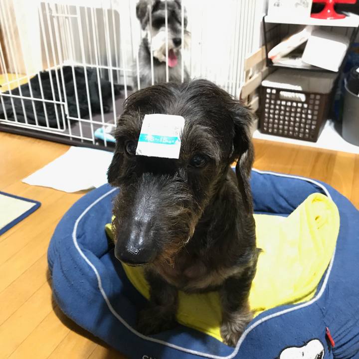 Ddbe2e95 0922 40fb a481 27ee392c8e48 1567348576981