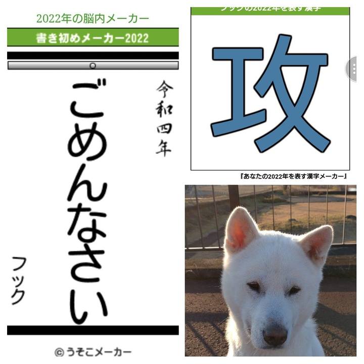 Ddbe67bd 90ab 4dfe 8053 1f5a570c6009 1641125704998