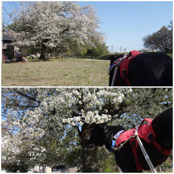 Ddbe77a1 7d4f 4560 9c38 adfd32bd80e3 1680570525807