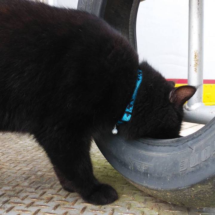 Ddbe79d8 22bd 4851 8e9e 29877fa66f67 1602546425662