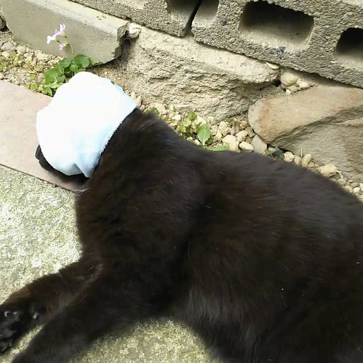 Ddbe7e3d d9c4 4541 8442 fa7ef7705427 1557028760128