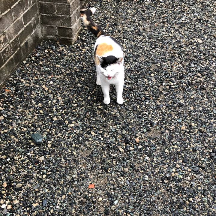 Ddbec332 ed3f 4376 a4c2 4adc14f86aa7 1618266262179