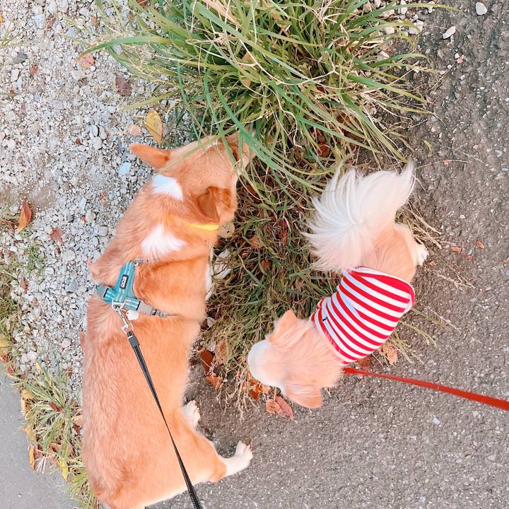 Ddbeef50 a294 4690 a27c 6411e79e5bb9 1664270979027