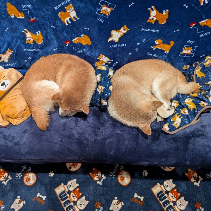 Ddbf3b06 c311 4bdc 947a 8967bda88501 1767585129462