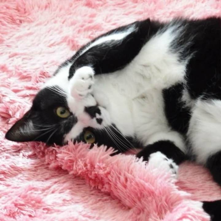 Ddbf62cb 24c7 4b8c 8b29 b735ab3246fe 1524896101026