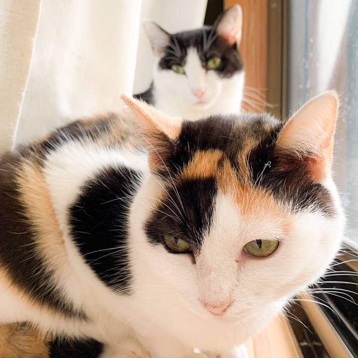 Ddbfa491 0c47 4847 a101 a5b1dc90da0c 1573610724859