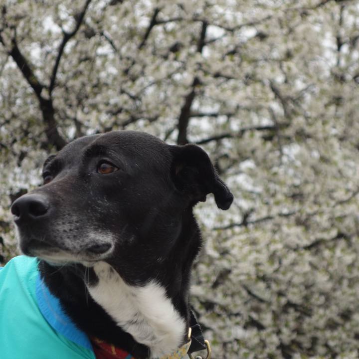 Ddbfb780 70aa 4bf8 b327 7ee788629195 1679965560443